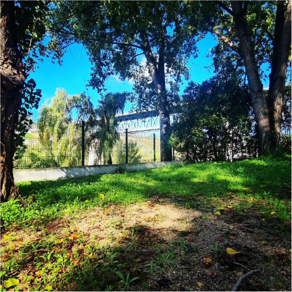 Parque campismo