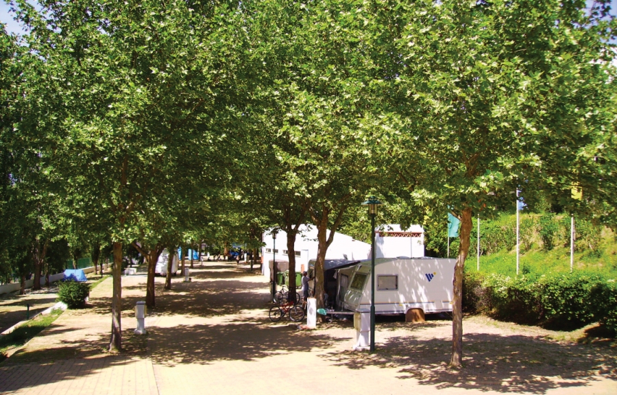 Parque campismo