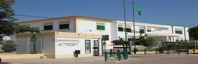 Agrupamento de Escolas de Const&acirc;ncia